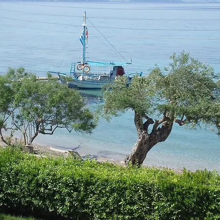 Bay